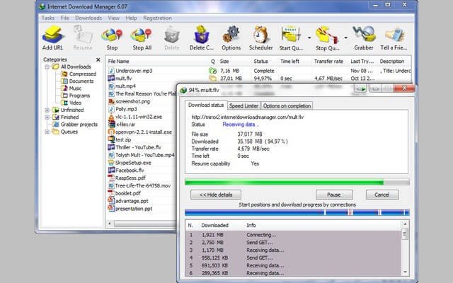 IDM Download	